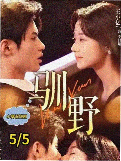 我的解放日志2